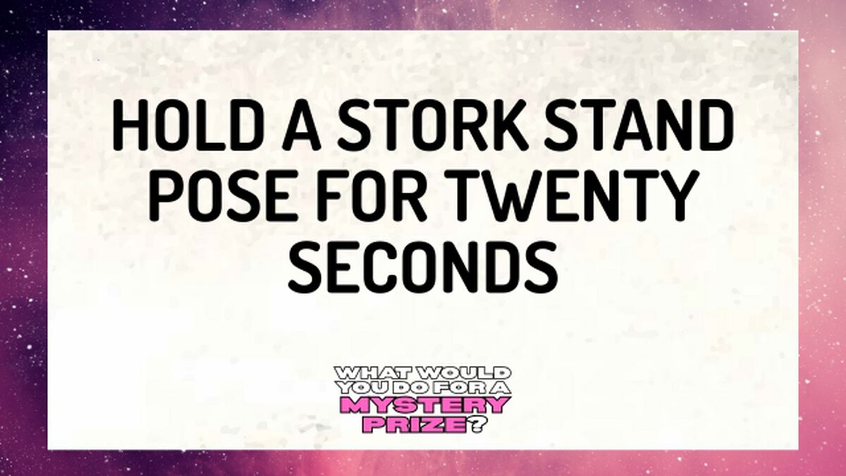 What Would You Do For A Mystery Prize? image number null